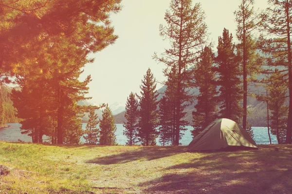 Beautiful sunbeams through the foggy forest. Amazing scene of campsite in the park with sun rays and fog. Morning shadows and lights, sun harp in woods. Camping place with yellow tent in sunny beams.