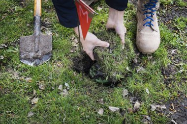 miner digs a mine. Demining of the territory. the guys digs a mine on a minefield. service in army. hazardous work. digging the ground with a sapper shovel. bury mine close up. Anti-personnel mine clipart