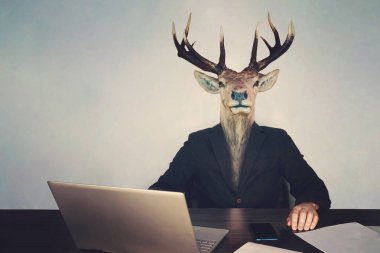 geyiğin baş baş. Brainlessness ve aptallık yetkilileri veya hükümet kavramı. Patron bir aptalmış. aptal girişimci bir dizüstü bilgisayar telefon ve belgeler, akılsızca, düşüncesiz bir masada oturuyor