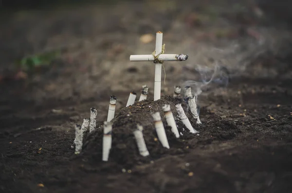 A tobaco tomb in a cemetery. A tobacco tomb in a cemetery. Death from lung cancer. The dangers of Smoking. Anti tobacco a conceptual photo.