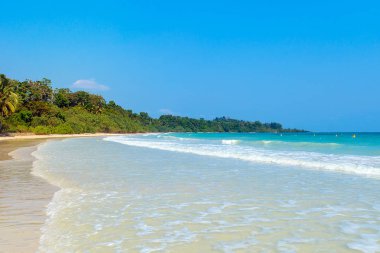Öğleden sonra Tanjung Pinang Bintan Adası, Endonezya, beyaz kum plaj ve palmiye ağaçları ile mavi renkli okyanus sahil su dışarı uzatılmış tropikal.