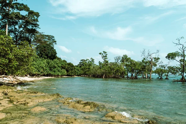 Rochas Coral Primeiro Plano Com Água Azul Fundo Praia Elefantes — Fotografia de Stock