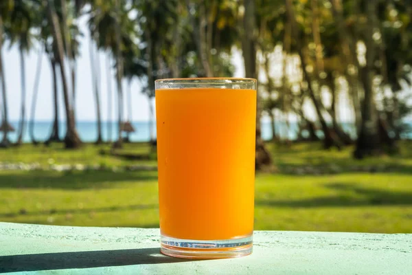 Egy Pohár Narancslé Kerül Asztalra Háttérben Palm Grove Gyönyörű Trópusi — Stock Fotó