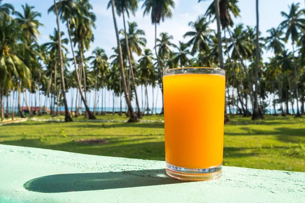 Glas Mit Frisch Gepresstem Saft Tropischer Früchte Steht Strand Grüne — Stockfoto