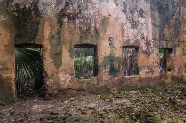 yabani ot ve bitkilerin yetiştiği içeriden terkedilmiş kilise iç duvarlar ve windows. Ufalanmış tuğla ön plan üzerinde yatıyordu