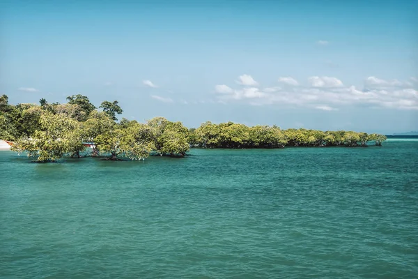 Νησί Του Havelock Για Andaman Και Nicobar Νησιά Δέντρα Στο — Φωτογραφία Αρχείου