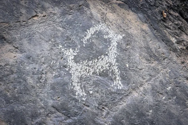 animal cave paintings of primitive man in the stone. Ancient drawings of ancient people