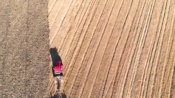 Aerial View Drone Harvest Field Tractor Mows Dry Grass Autumn — Stock Video