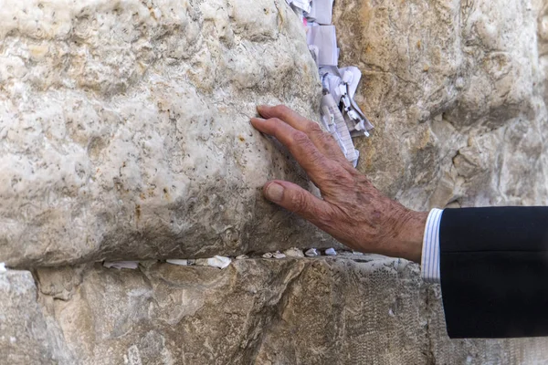 Hand of praying man on the Western Wall in Jerusalem. An old elderly Jew touches a sacred stone in prayer. Traditional rite for tourists and Jews in Jerusalem Israel