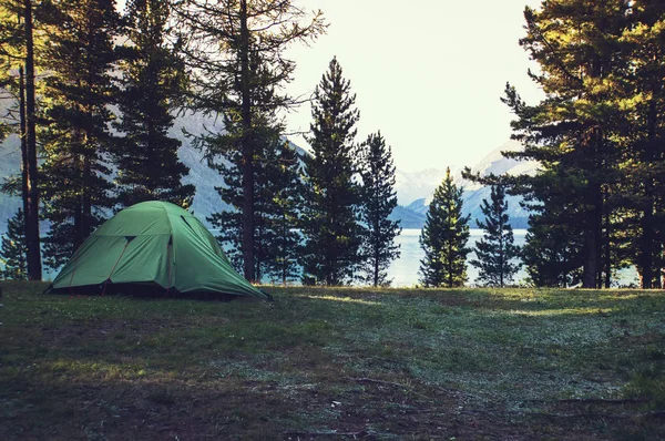 Barraca turística em uma floresta. Tenda acampando na floresta — Fotografia de Stock