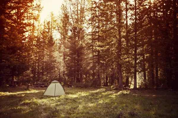 Tentes debout sur une prairie dans les bois — Photo