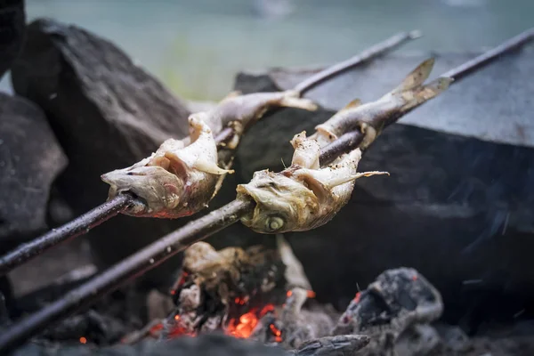 Baked fish at the stake in nature. fish grayling roasted on a spit in the fire, the concept of tourism, Hiking, outdoor recreation and fishing