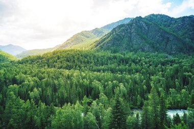 Valley and mountain ridge. thick forest nature landscape aerial drone view high above thick forests. Beautiful taiga landscape. Wild pristine nature clipart