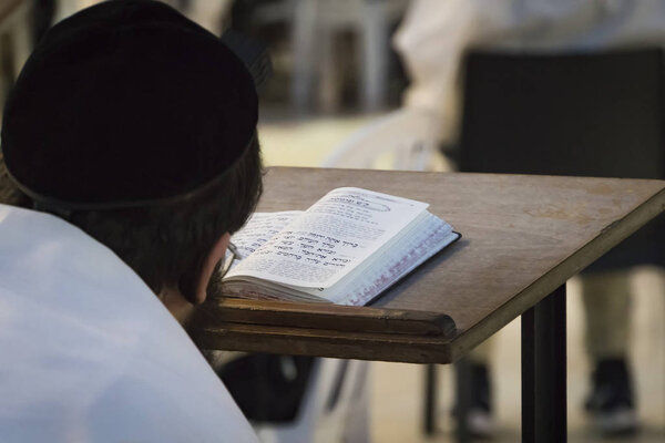 A religious man sitting and reading a torah at the Wailing Wall. Reading holy book of judaism at the western wall in Jerusalem old city. Head of the true believer in the background of the open book.
