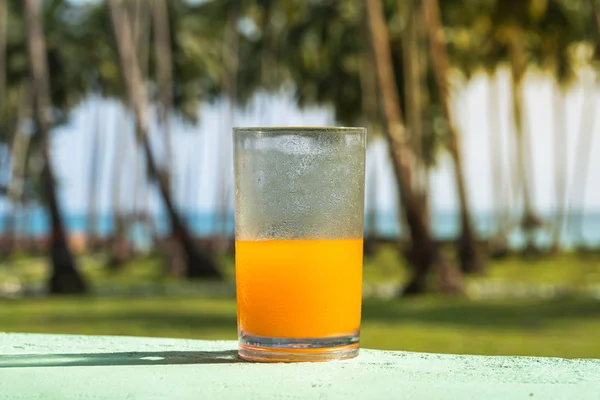 Copo com Suco de Frutas Tropicais Frescas — Fotografia de Stock