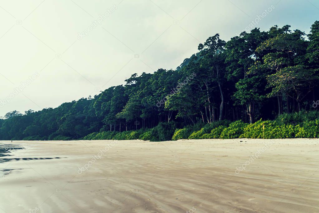 Stunning view of Radhanagar Beach on Havelock Island.