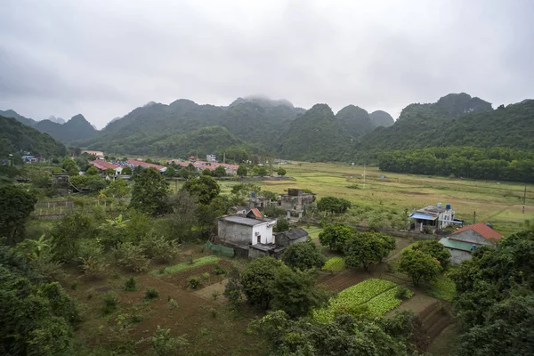 Jordbruksareal på ön Cat Ba Vietnam på bakgrunden av låga kullar. — Stockfoto