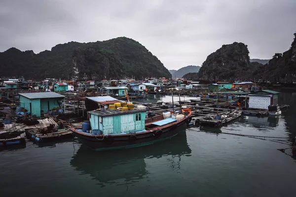 Allevamento ittico galleggiante in ha lungo golfo di Vietnam. produzione di pesce e molluschi in mare — Foto Stock