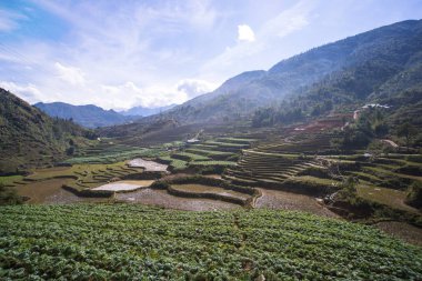 Sapa, Vietnam. Hoang Lien Ulusal Parkı. Kış sonu, ilkbahar başı. Dağlarda pirinç terasları.