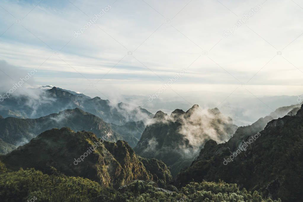 Mountains surrounded by clouds. The green mountain peaks in the white clouds. Misty morning in the mountains