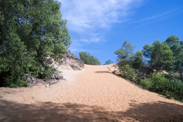 Fairy Stream Canyon, Mui Ne, Vietnamu, jihovýchodní Asie. Krásná malebná krajina s red river, písečné duny a džungle. Scenérie tropické oáze. Populární, slavný orientační bod, turistické destinace Vietnam — Stock fotografie