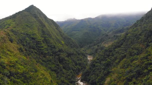 Drone vlucht boven Mountain River in vallei met dennenbos rond, Dalat gebied, Vietnam — Stockvideo