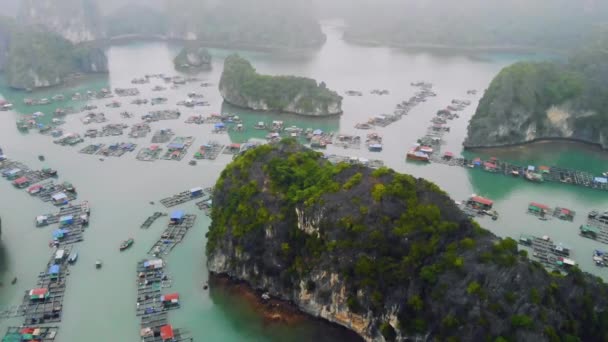 Schwimmendes Fischerdorf in einer langen Bucht im Norden Vietnams. Draufsicht, Luftaufnahme — Stockvideo