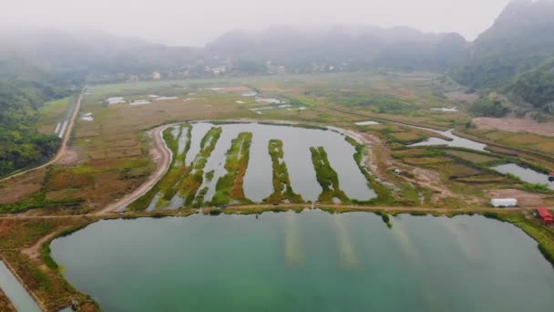 Top uitzicht op de wetlands van het eiland cat ba in de buurt van de zee op het land. Ochtend sombere landschap van het platteland van Vietnam — Stockvideo