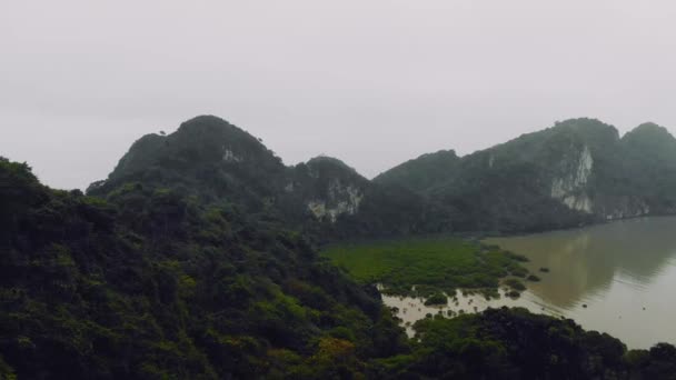 Uitzicht vanaf Peak in Cat Ba National Park. Ha Long, Vietnam, Halong Bay. Dichte jungle. Struikgewas in Bergen — Stockvideo