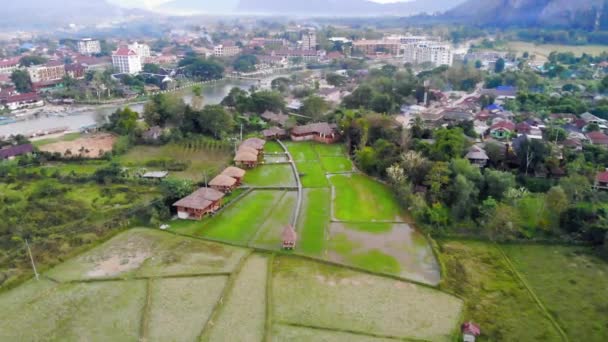 Widok z lotu ptaka na pola rolnicze i formacje skalne w Vang Vieng, Laos. Vang Vieng jest popularnym miejscem dla turystyki przygodowej w krajobraz krasowych wapienia. — Wideo stockowe