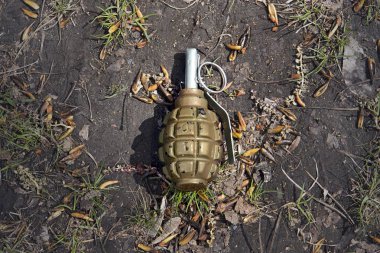 green grenade resting on a battlefield. Hand grenade F-1. Lost green garnet. real weapons are dangerous, fragmentation grenade clipart