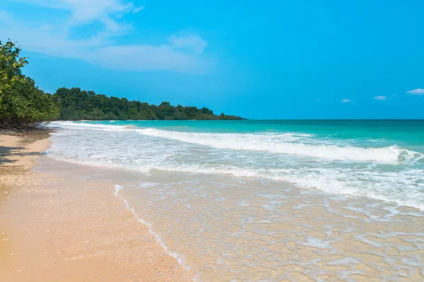 Beautiful beach and tropical sea — Stock Photo, Image