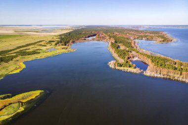 Altai bölgesindeki tuz göllerinin en üst görüntüsü. Guseletovo Köyü