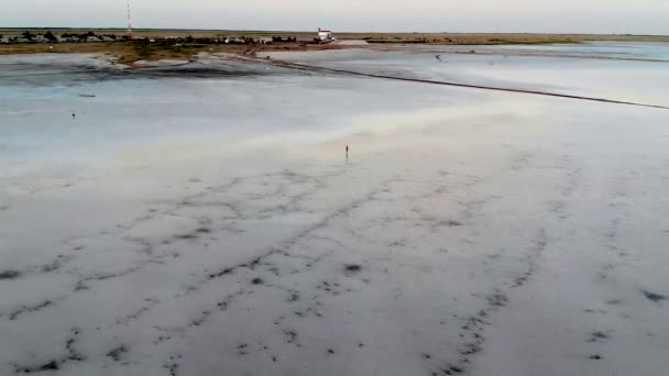 Een Meisje Een Zwart Badpak Staat Het Water Kijkt Naar — Stockvideo