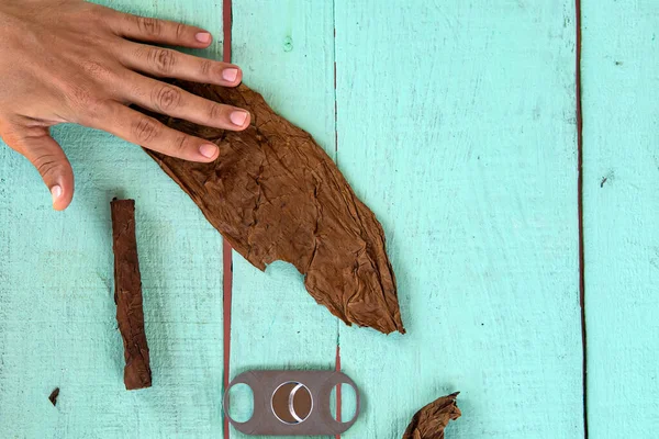 Proceso tradicional de fabricación de cigarros en primer plano. Un hombre enrolla una hoja de tabaco en un puro. valle de Vinales Cuba. Ingredientes y herramientas para la producción de cigarros en la mesa. vista desde la parte superior . — Foto de Stock