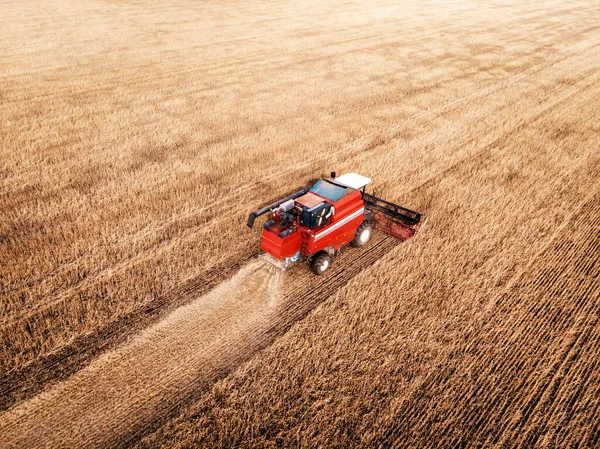 Jordbruksmaskiner Som Skördar Grödor Åkrar Traktorn Drar Mekanism För Höskörning — Stockfoto