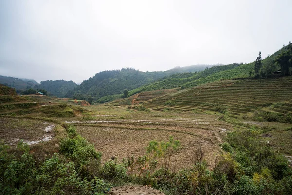 Rice terraces on the mountains, part of the Hoang Lien National Park, in Sapa on foggy and rainy day in winter