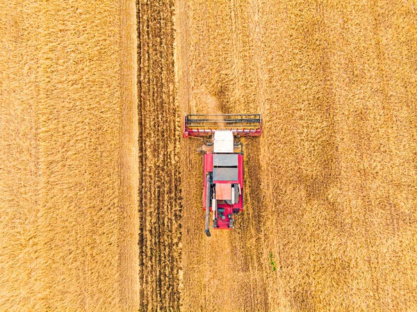 Widok Lotu Ptaka Kombajn Pracy Dużym Polu Pszenicy Haymaking Zbiorów — Zdjęcie stockowe