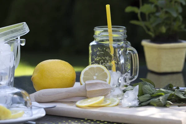 Ингредиенты Приготовления Натурального Лимонада Свежий Здоровый Лимон Льдом Мятой — стоковое фото