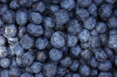 Olgun ve sulu taze yaban mersini closeup aldı. Yaban mersini arka plan. Üstten Görünüm 