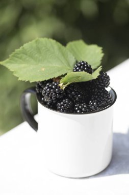 Bir büyük beyaz fincan taze böğürtlen. Beyaz metalik eski Kupası'nda birçok taze böğürtlen