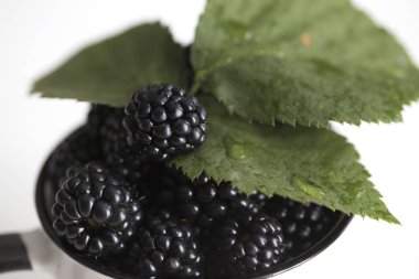 Bir büyük beyaz fincan taze böğürtlen. Beyaz metalik eski Kupası'nda birçok taze böğürtlen