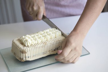 lezzetli Dondurmalı kek. İtalyan savoiardi kurabiye, mascarpone, sütlü çikolata, tiramisu malzemelerle ile tiramisu