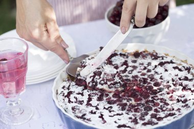 Kadınların elleri bir ev yapımı pasta kesti. Clafoutis vişneli pasta.