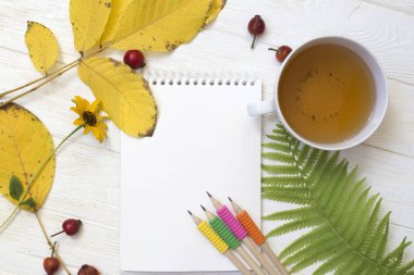 Sonbahar flatlay üzerinde beyaz ahşap zemin ile bir fincan çay ve düşmüş kuru sarı, yapraklar, çiçekler. Metin için boş alan. 