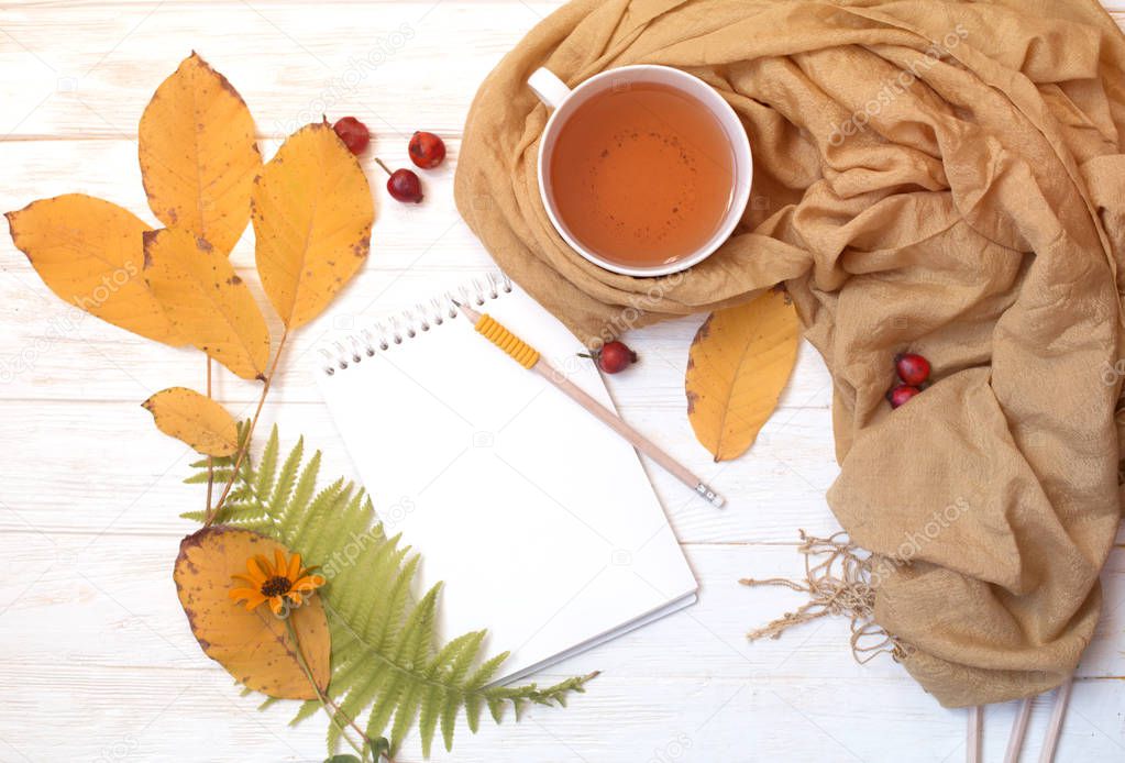 Autumn flatlay on  white wooden backdrop with a cup of tea and fallen dry yellow,  leaves, flowers. Free space for text. 