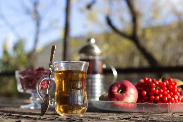 Herbst Stillleben Mit Teetasse Auf Holzplanken Und Verwischten Bäumen Hintergrund — Stockfoto