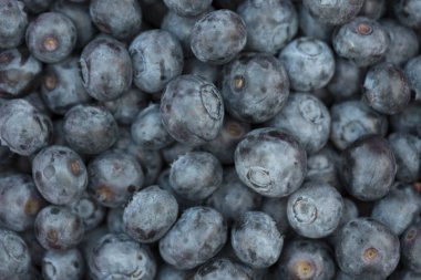 Taze yabanmersini arka plan. Doku yaban mersini çilek kapatın. Üstten görünüm.