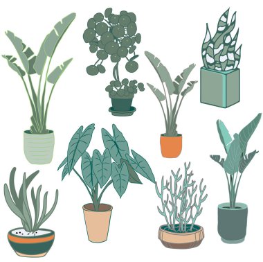 Saksı bitkileri vektör ayarla.