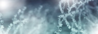 Ağaç dallarında kar. Karla kaplı ağaçların kış manzarası. Karların altındaki dalların şiddeti. Doğada kar yağışı.